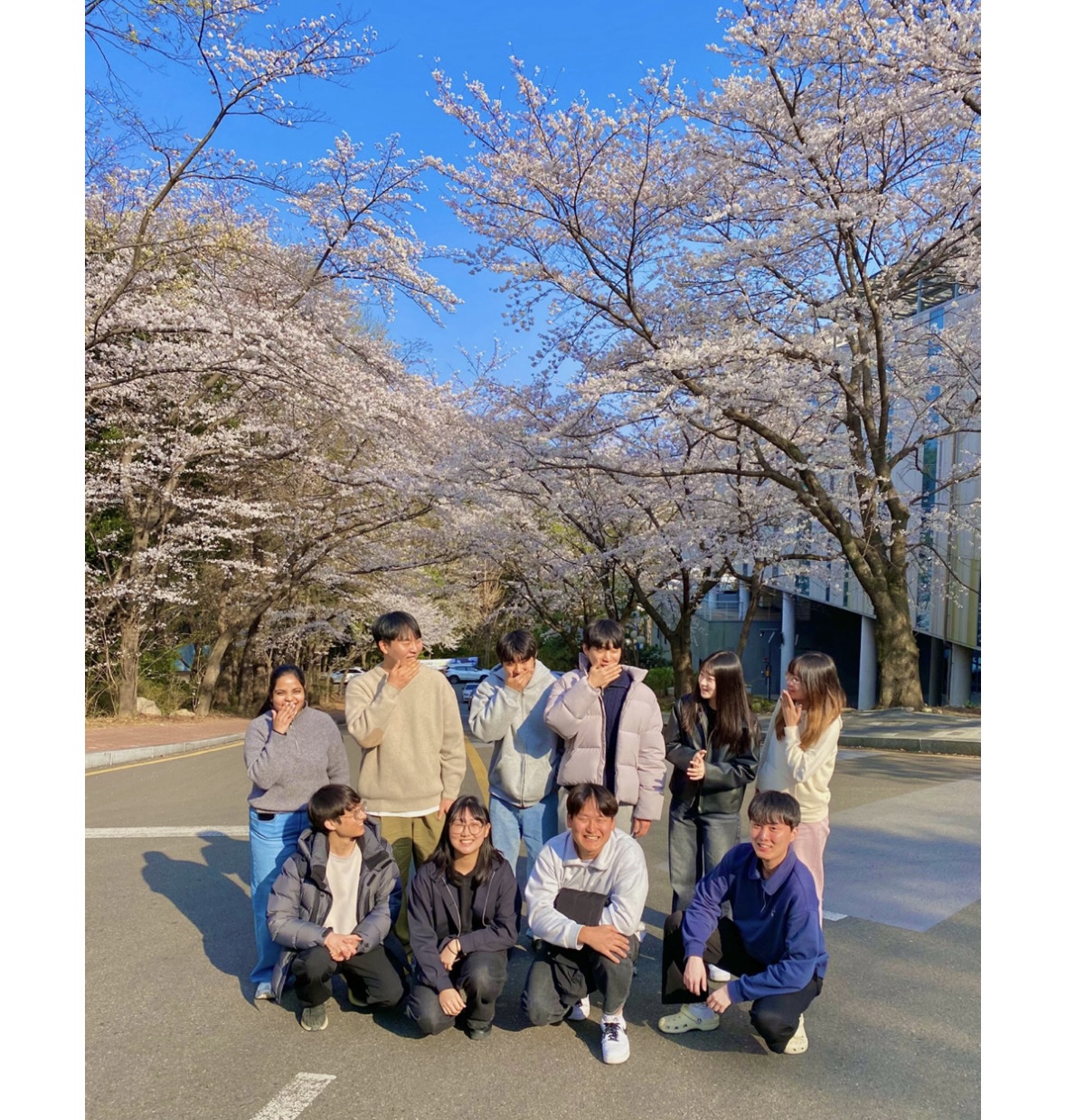 벚꽃구경
